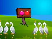 play Pretty Bird Escape