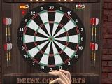 play 501 Darts