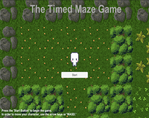 play The Timed Maze Game