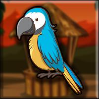 play G2J Little Macaw Escape