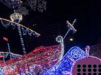 play Dazzling Christmas Park Escape