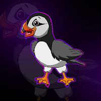 play G2J Puffin Bird Escape
