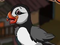 play Puffin Bird Escape