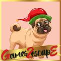 play G2E Naughty Pug Escape For Christmas 2021 Html5
