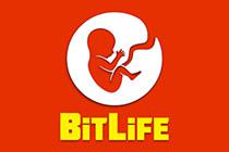 play Bitlife Simulator