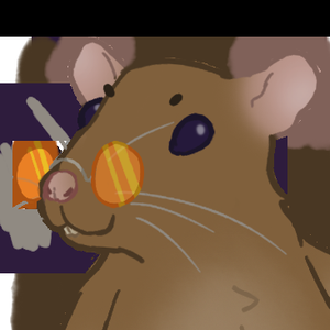 play Rat Fashion