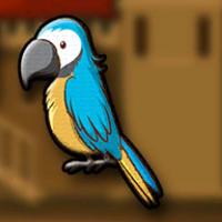 play -G2J-Little-Macaw-Escape