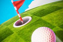 play Minigolf Tour