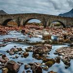 play Bridges