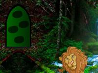 play Amazon Lion Forest Escape