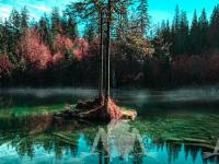 play Cloudy Waterfall Forest Escape