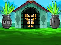 play G2M Mouse Escape Html5