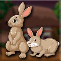 play G2J Cute Bunny Couple Escape