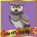 play G2E Owl Rescue From Old House Html5