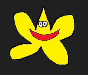 play Let The Star Guess!