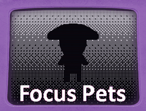 play Focus Pets