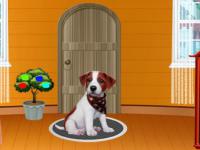 play Dog House Escape