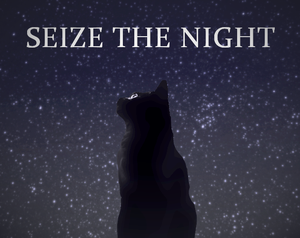 play Seize The Night