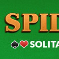 play Spider Solitaire Big