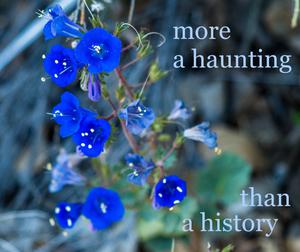 play More A Haunting Than A History - Demo