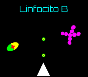 play Lymphocyte B