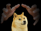 play Pet Doge