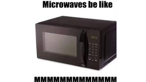 play Microwave Simulator.