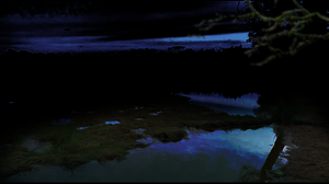 play Bog Adventure