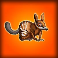 G2J Baby Numbat Escape