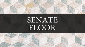 play Senate Floor