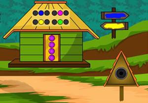 play Eastern Grey Kangaroo Escape