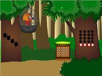 G2M Red Parrot Escape Html5