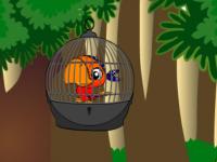 play G2M Red Parrot Escape