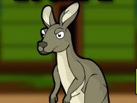 play Eastern Grey Kangaroo Escape