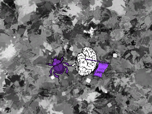 play Bugged Brains