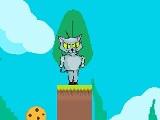 play Kim Cat