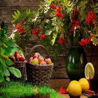 play Flourish Fruits Forest Escape Html5