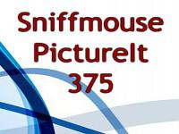 play Pictureit 375