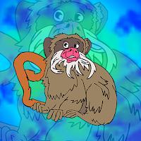 play G2J Emperor Tamarin Escape