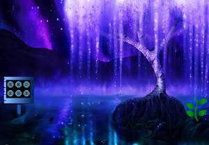 play Foggy Night Forest Escape