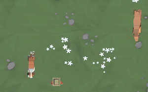 play Wildlife
