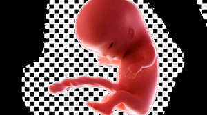 play Dont Get Pregnant