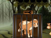 play Cow Calf Escape