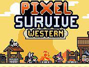 Pixel Survive Western