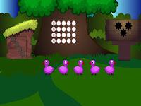 play G2L Baby Bird Rescue Html5