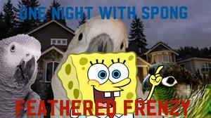 play One Night With Spong 3: Feathered Frenzy
