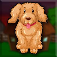 play G2J Poodle Puppy Escape