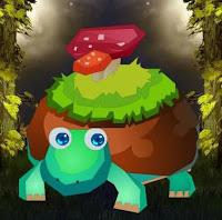 play Big-Help The Fantasy Tortoise Html5