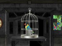 play G2M Parrots Escape