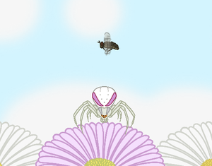 play Spider Game Test 1